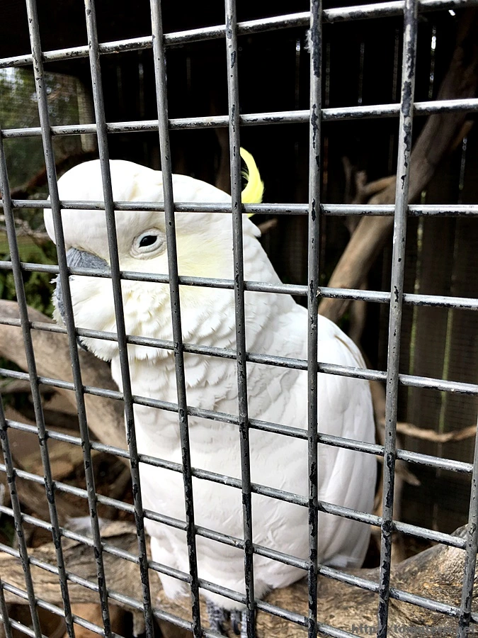 2016-11-25_at_09.13.15.jpg?type=w773