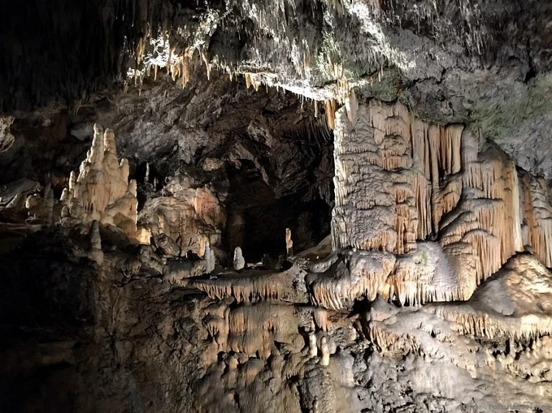 2016-06-24_at_19.53.00.jpg?type=w773