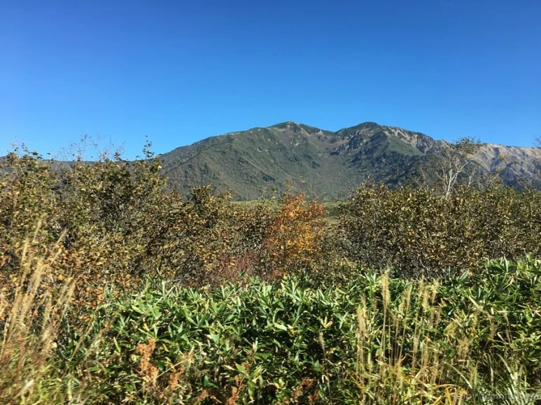 2016-10-15_at_09.30.54.jpg?type=w773