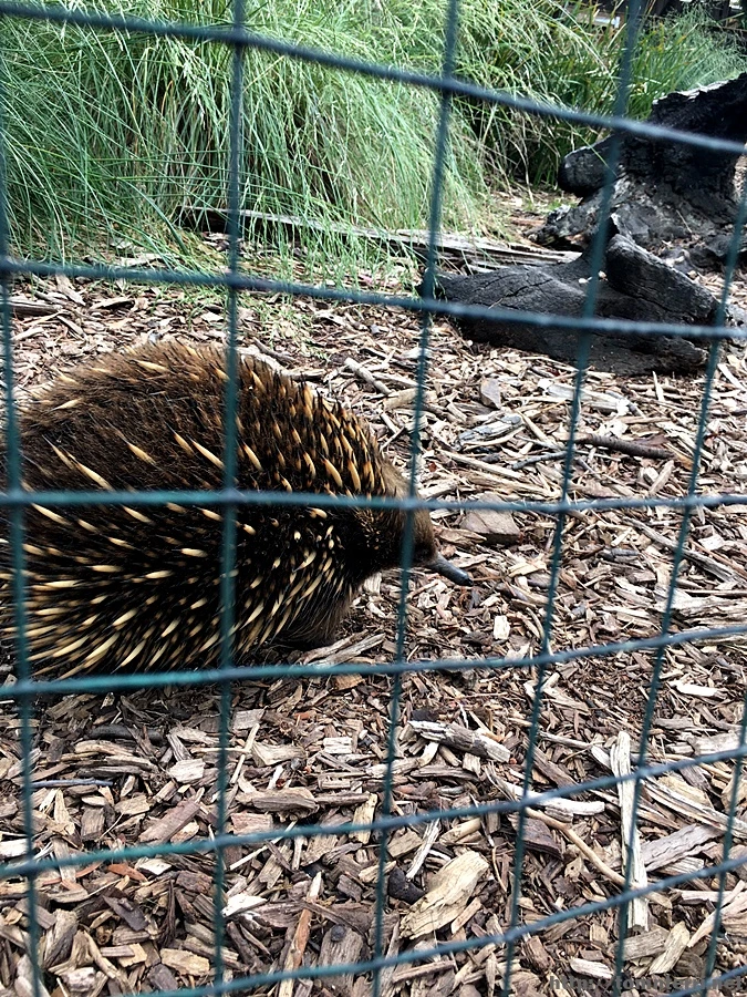 2016-11-25_at_08.26.19.jpg?type=w773