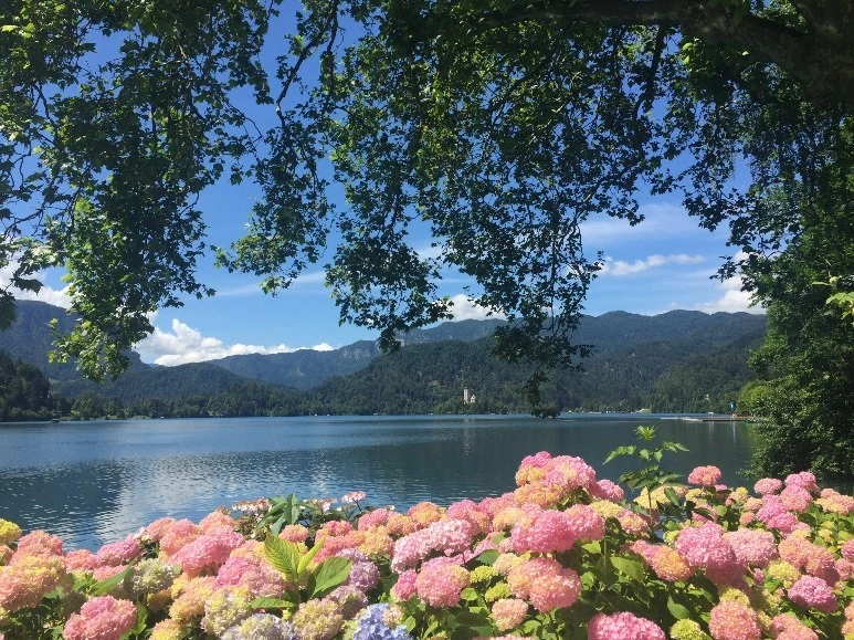 image_5261000721467472022110.jpg?type=w773