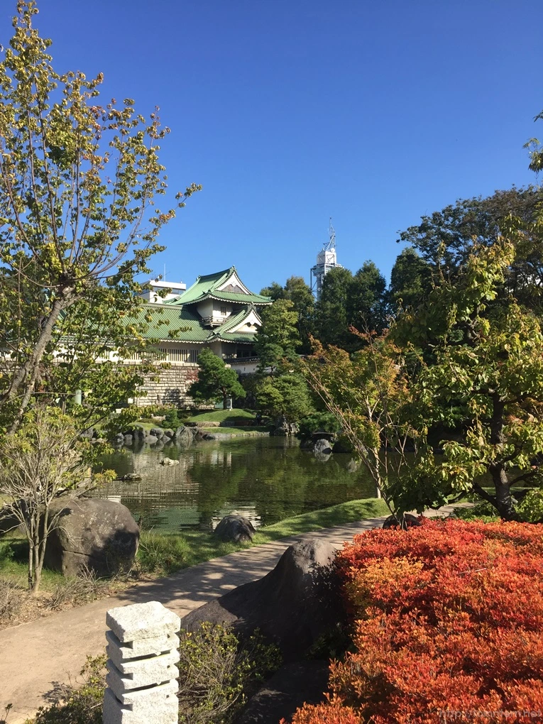 2016-10-16_at_09.25.07.jpg?type=w773