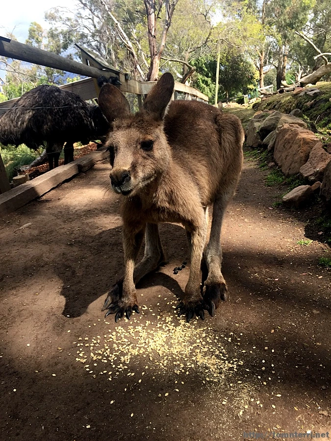 2016-11-25_at_08.39.12.jpg?type=w773