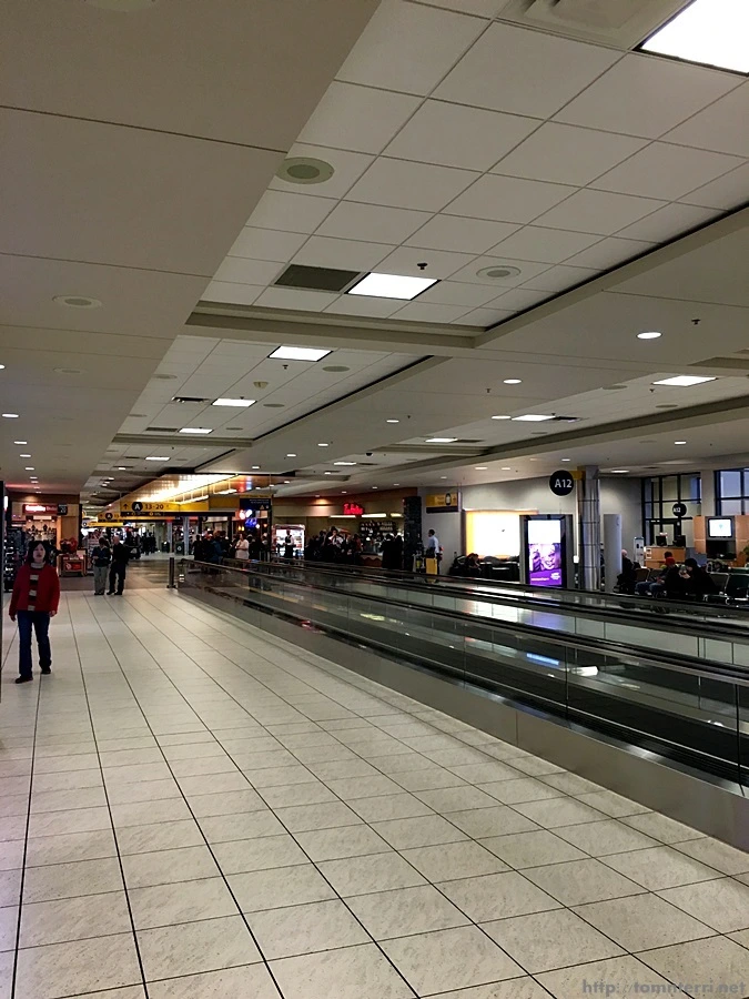 2016-02-08_at_00.06.53.jpg?type=w773