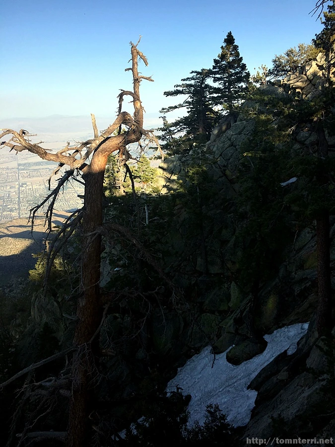 2017-05-05_at_10.17.34.jpg?type=w773