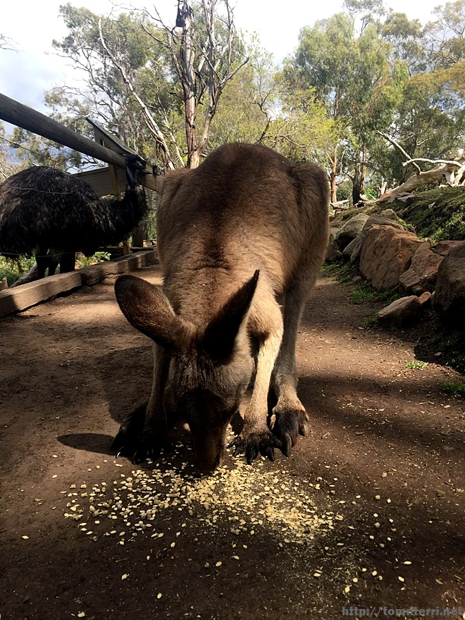 2016-11-25_at_08.39.17.jpg?type=w773