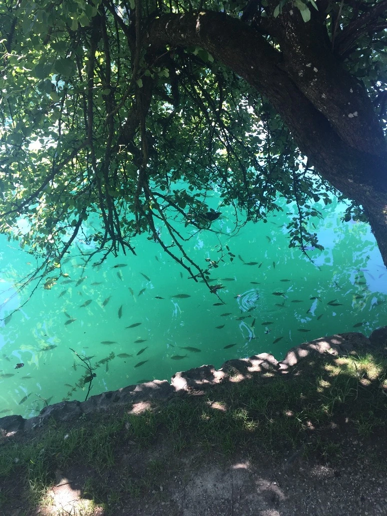 image_3907760031467472022110.jpg?type=w773