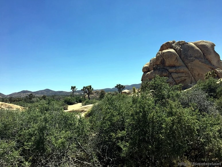 2017-05-05_at_05.27.37.jpg?type=w773