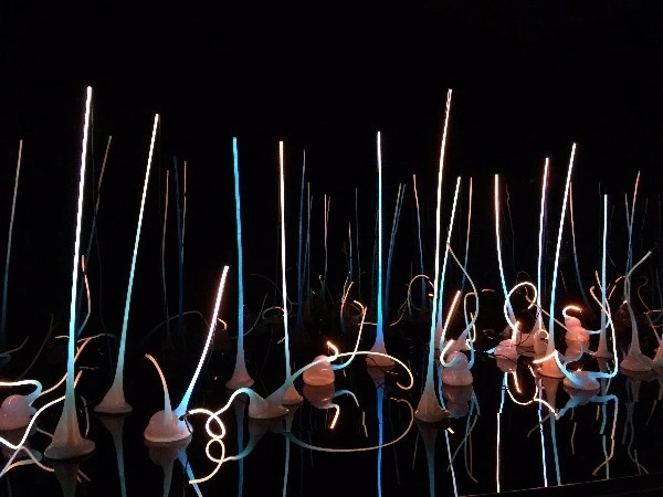 image_5073894791469353215606.jpg?type=w773