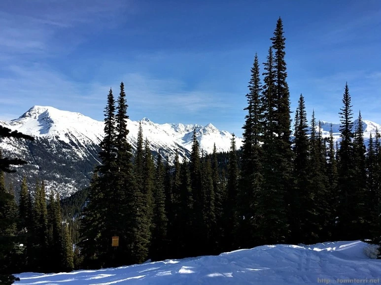 2016-02-09_at_06.22.34.jpg?type=w773