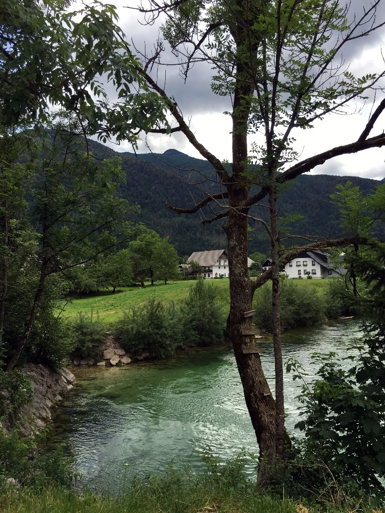 image_5275191651467475042159.jpg?type=w773