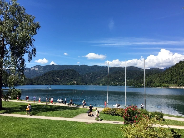 image_7771742981467472022109.jpg?type=w773