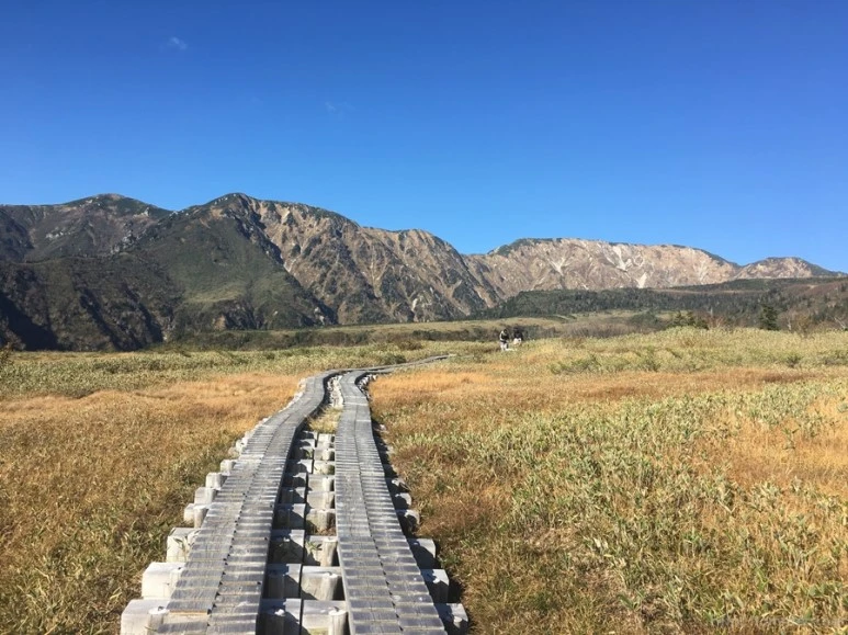 2016-10-15_at_14.51.58.jpg?type=w773