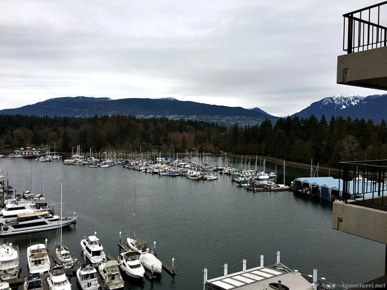 2016-02-08_at_03.58.18.jpg?type=w773