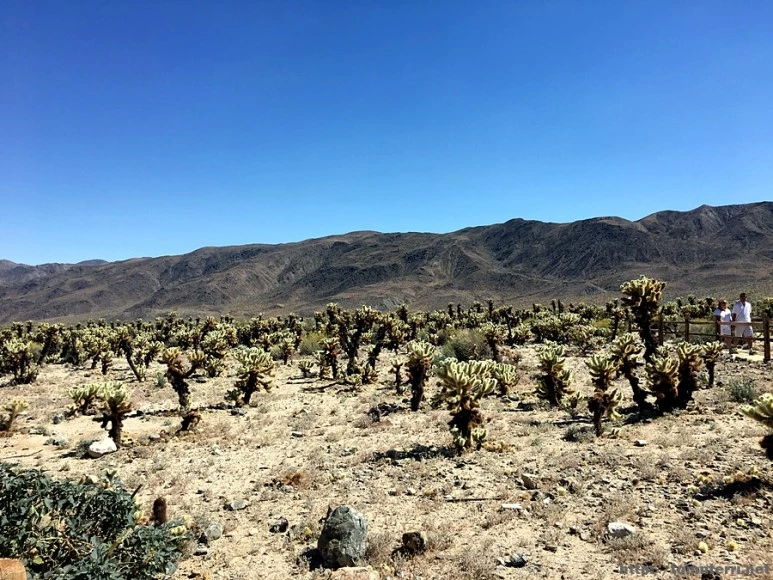 2017-05-05_at_07.10.37.jpg?type=w773