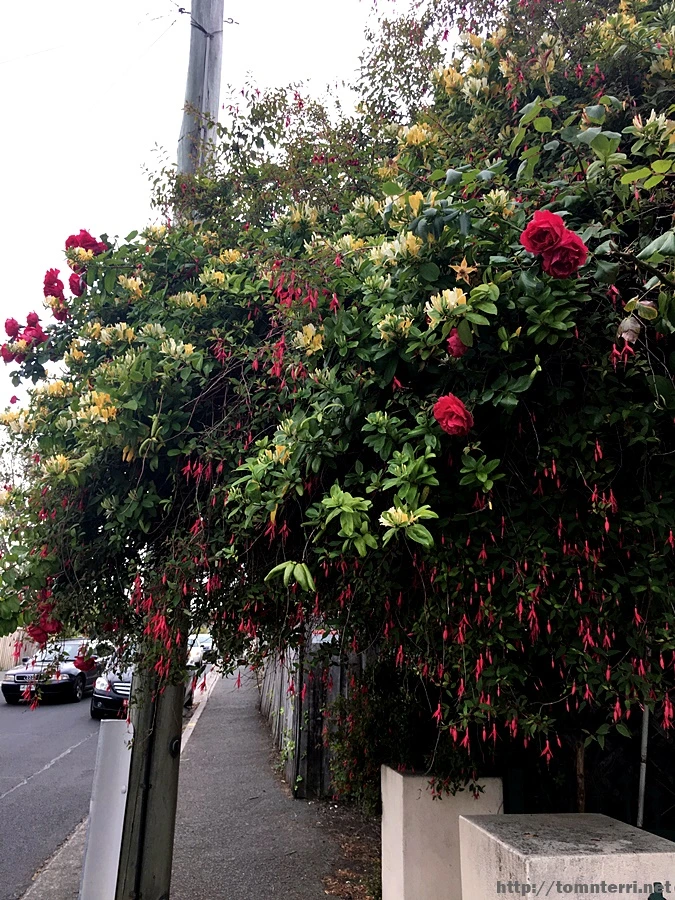 2016-11-24_at_16.21.08.jpg?type=w773