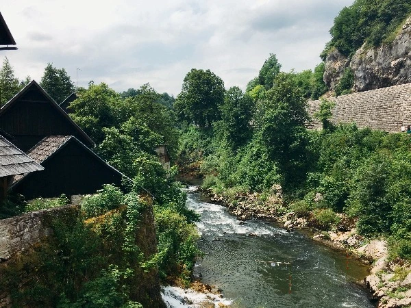 image_8687373981469326496067.jpg?type=w773