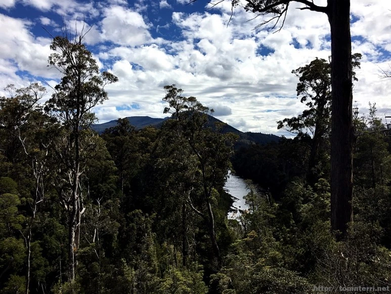 2016-11-24_at_13.14.04.jpg?type=w773