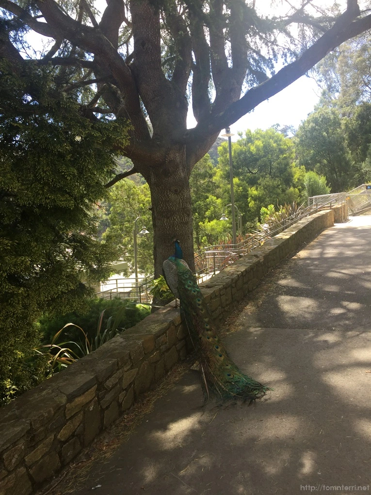 2016-11-19_at_13.06.18.jpg?type=w773