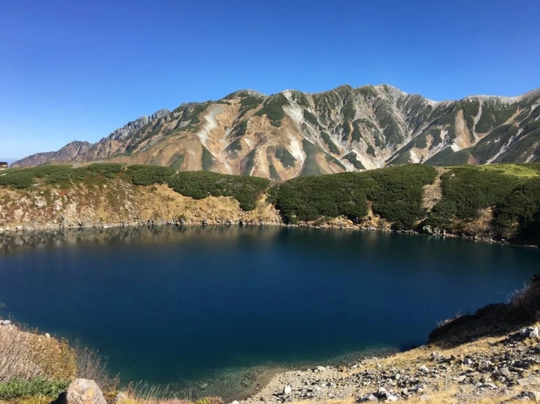 2016-10-15_at_10.10.26.jpg?type=w773