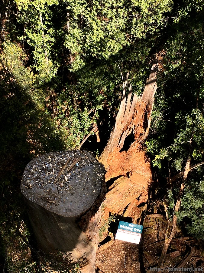 2016-11-24_at_13.05.23.jpg?type=w773