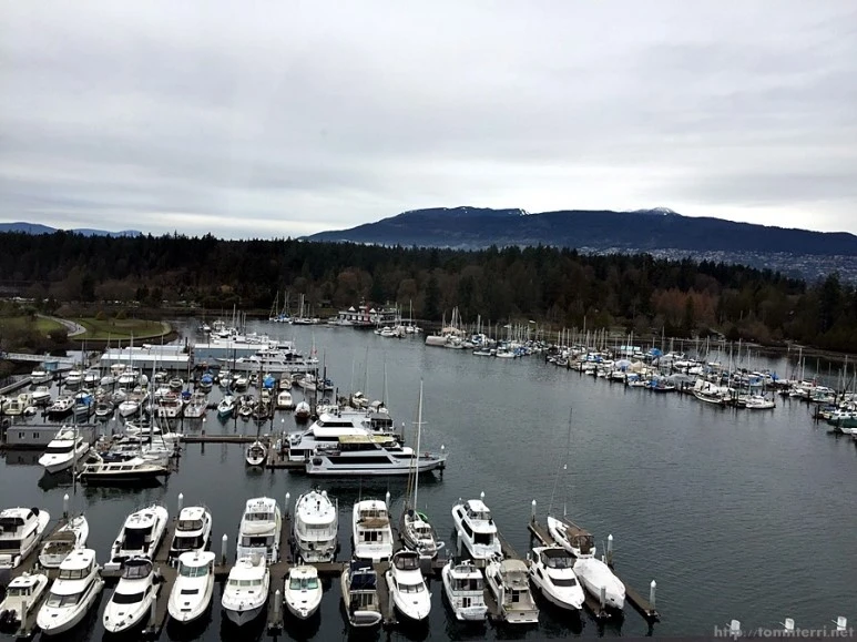 2016-02-08_at_04.04.42.jpg?type=w773