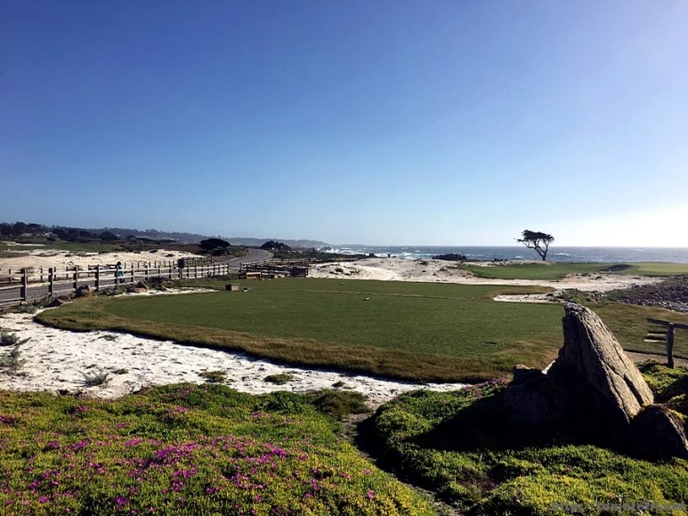 2017-05-02_at_09.28.32.jpg?type=w773