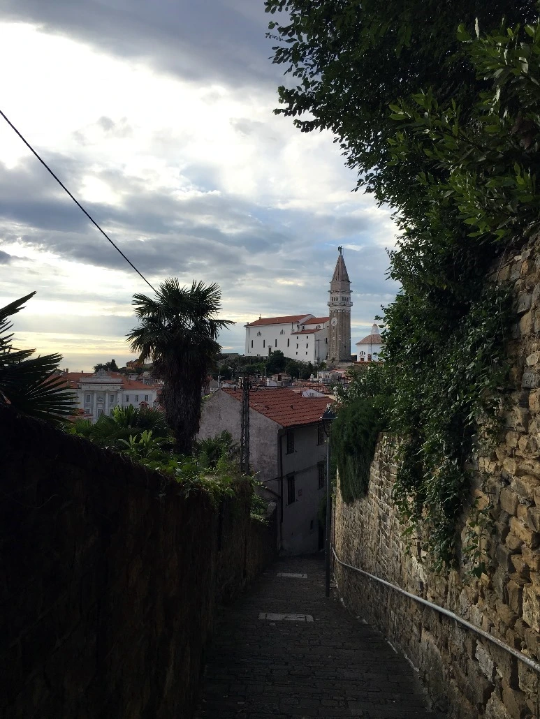 image_4962141981467468802031.jpg?type=w773