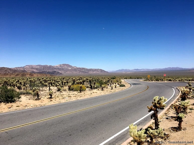 2017-05-05_at_07.12.57.jpg?type=w773