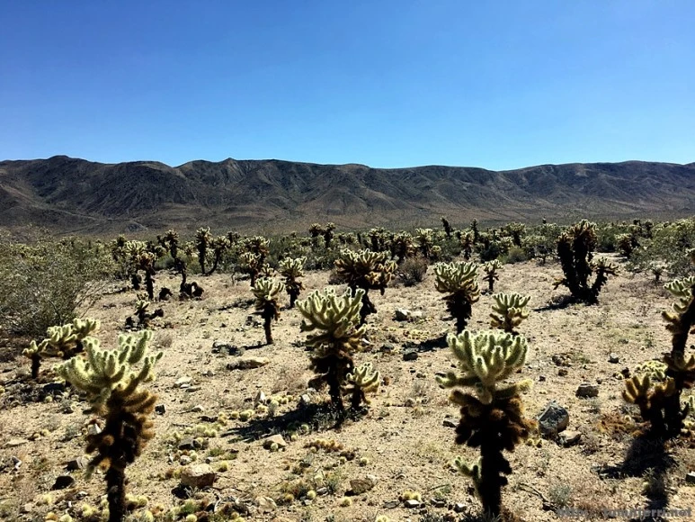 2017-05-05_at_07.11.07.jpg?type=w773