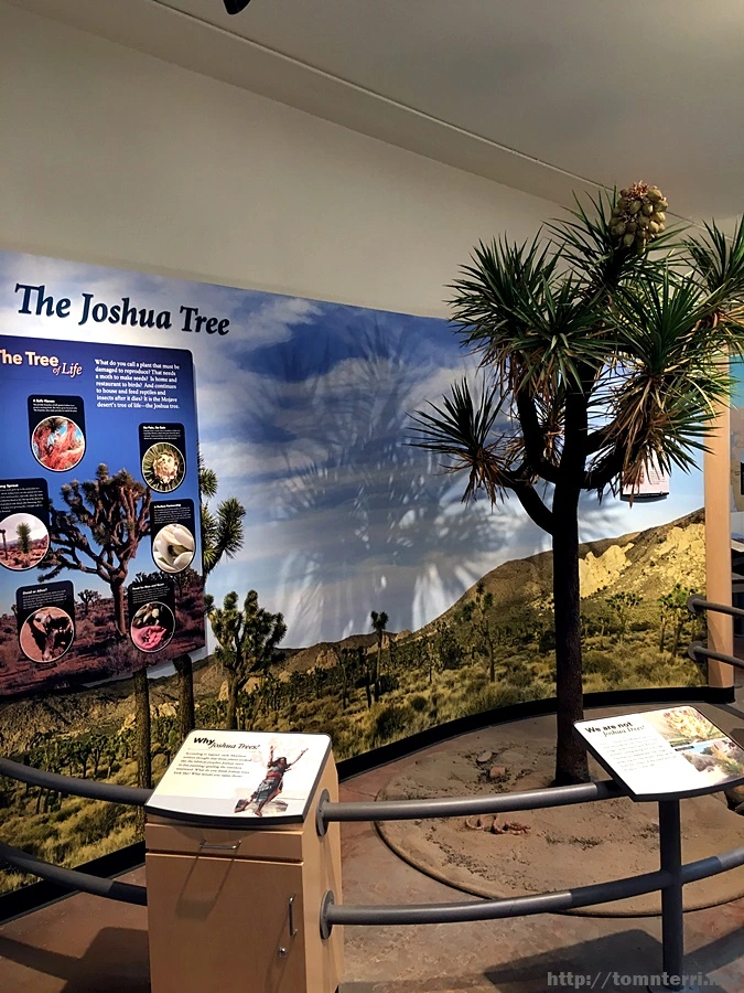 2017-05-05_at_04.26.11.jpg?type=w773