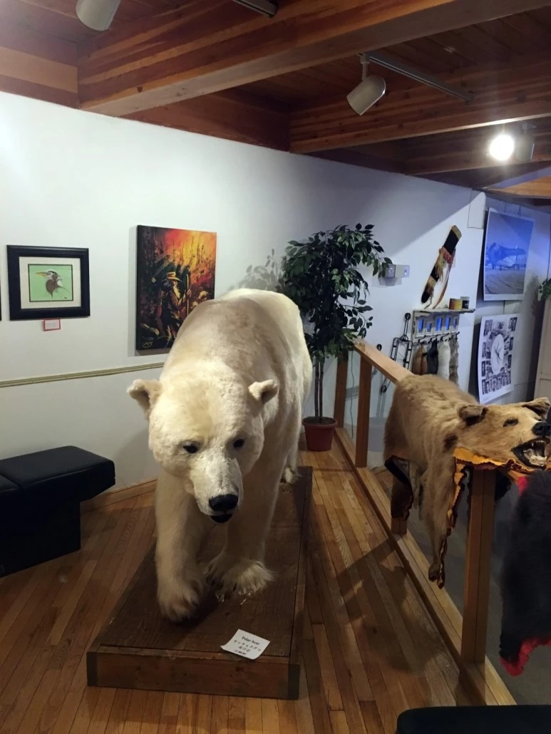 2016-02-06_at_09.05.31.jpg?type=w773