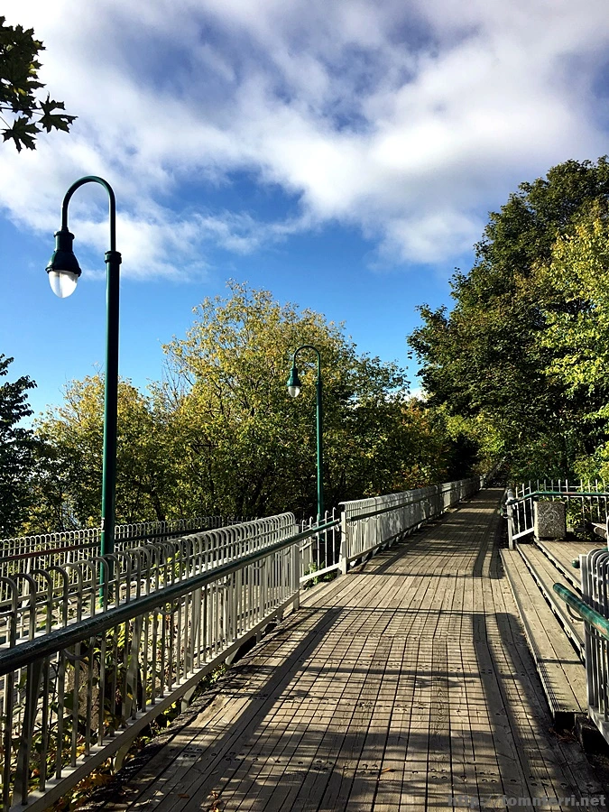 2017-10-02_at_22.09.34.JPG?type=w773