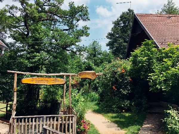 image_9166437631469326596587.jpg?type=w773