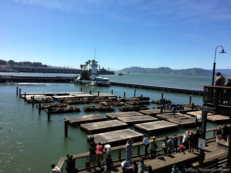 2017-04-29_at_07.06.50.jpg?type=w773