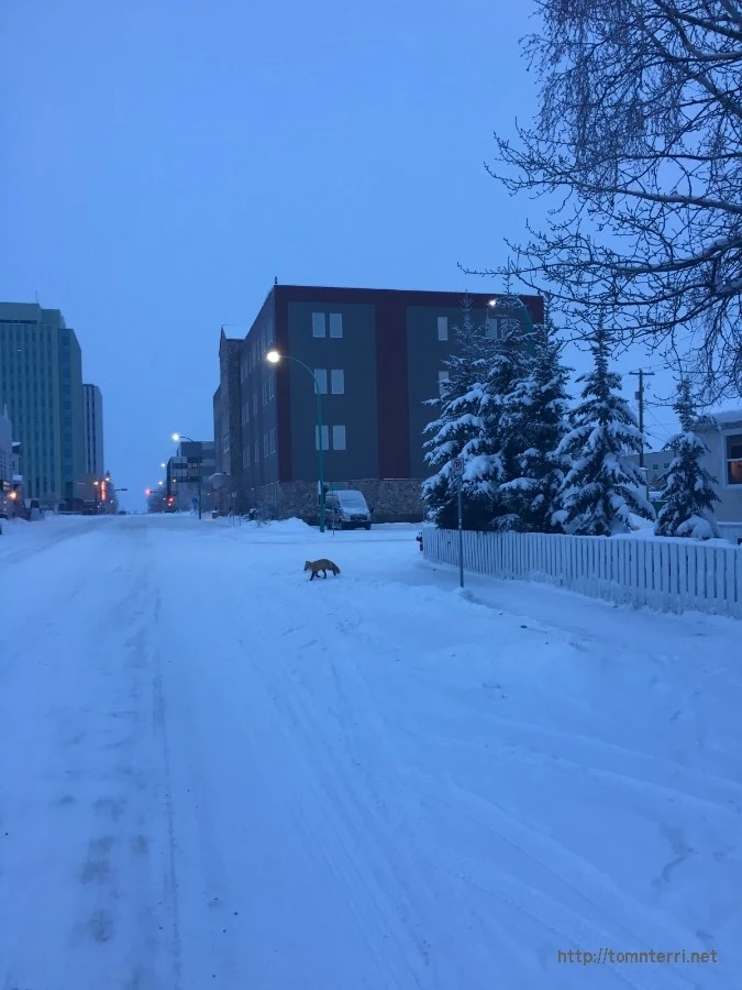 2016-02-07_at_00.47.45.jpg?type=w773