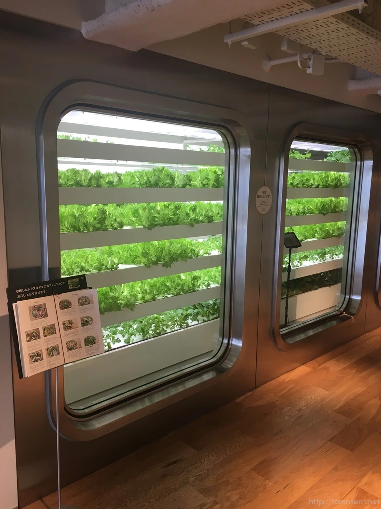 2017-03-05_at_10.54.01.jpg?type=w773