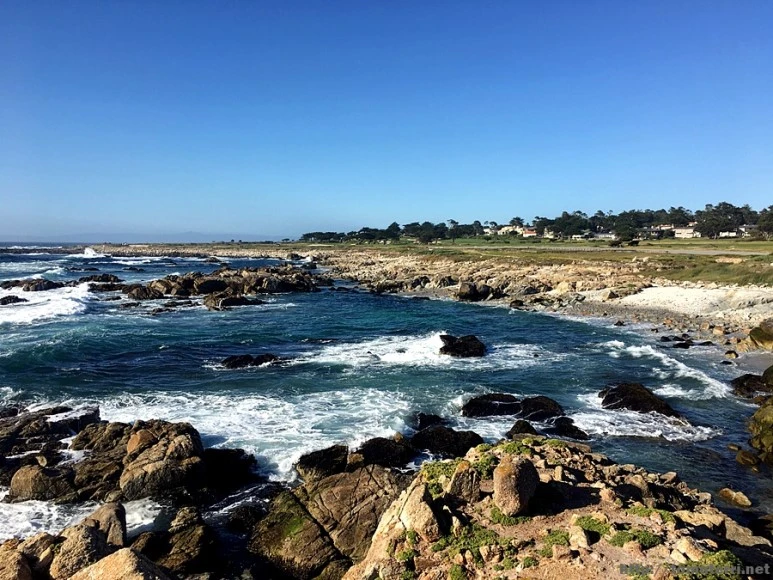 2017-05-02_at_09.47.18.jpg?type=w773