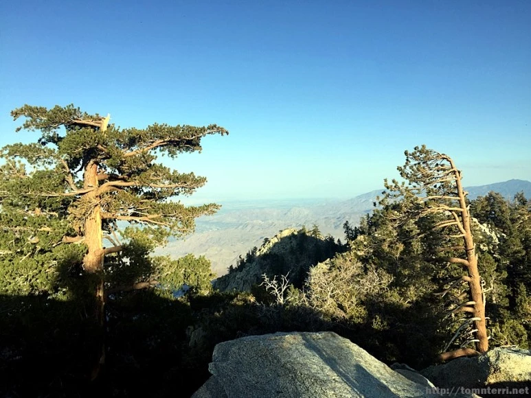 2017-05-05_at_10.29.01.jpg?type=w773