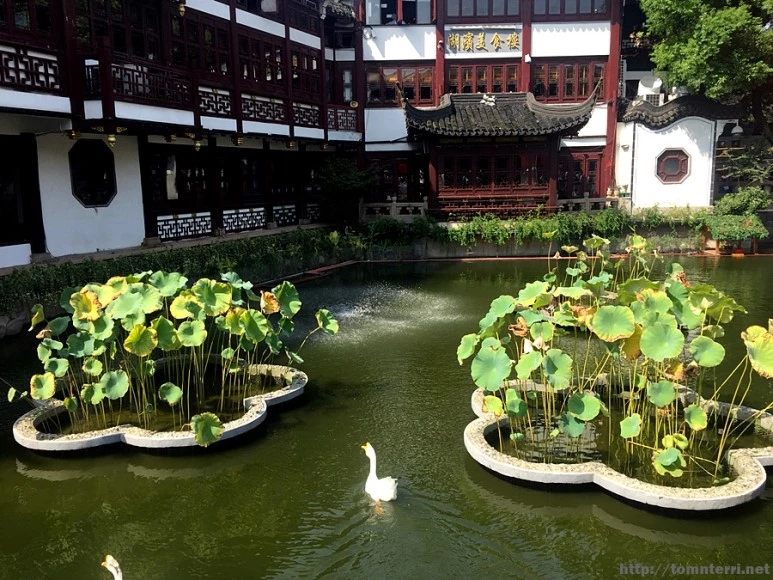 2017-10-01_at_14.04.33.jpg?type=w773