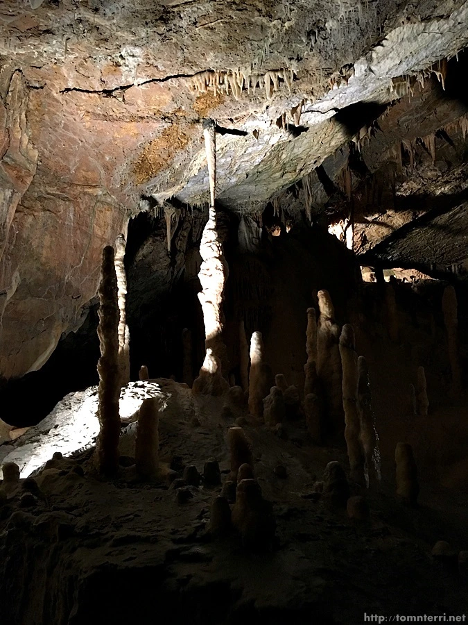 2016-06-24_at_19.41.42.jpg?type=w773