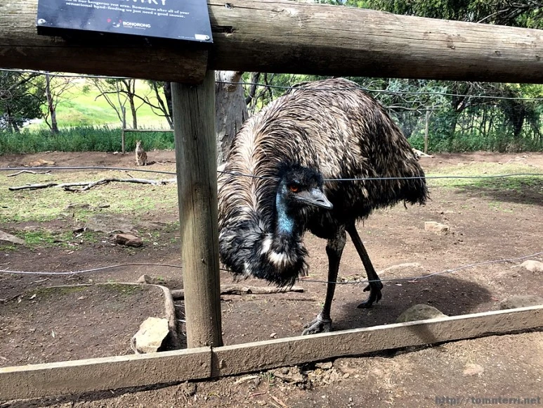 2016-11-25_at_08.33.17.jpg?type=w773