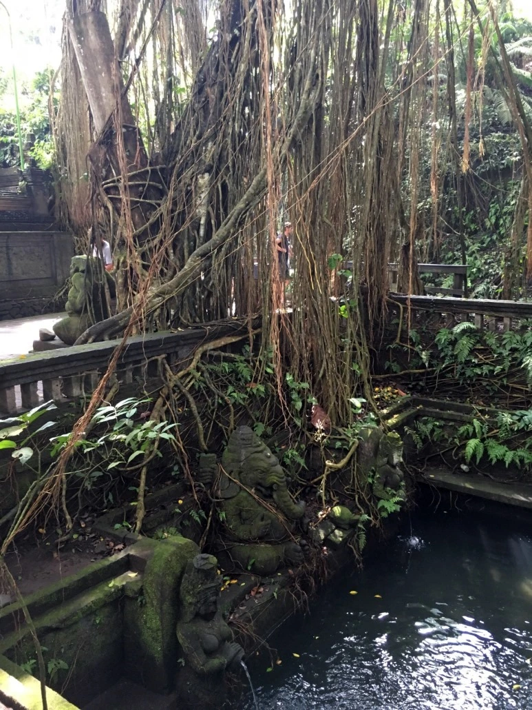 image_8984053011476019059046.jpg?type=w773