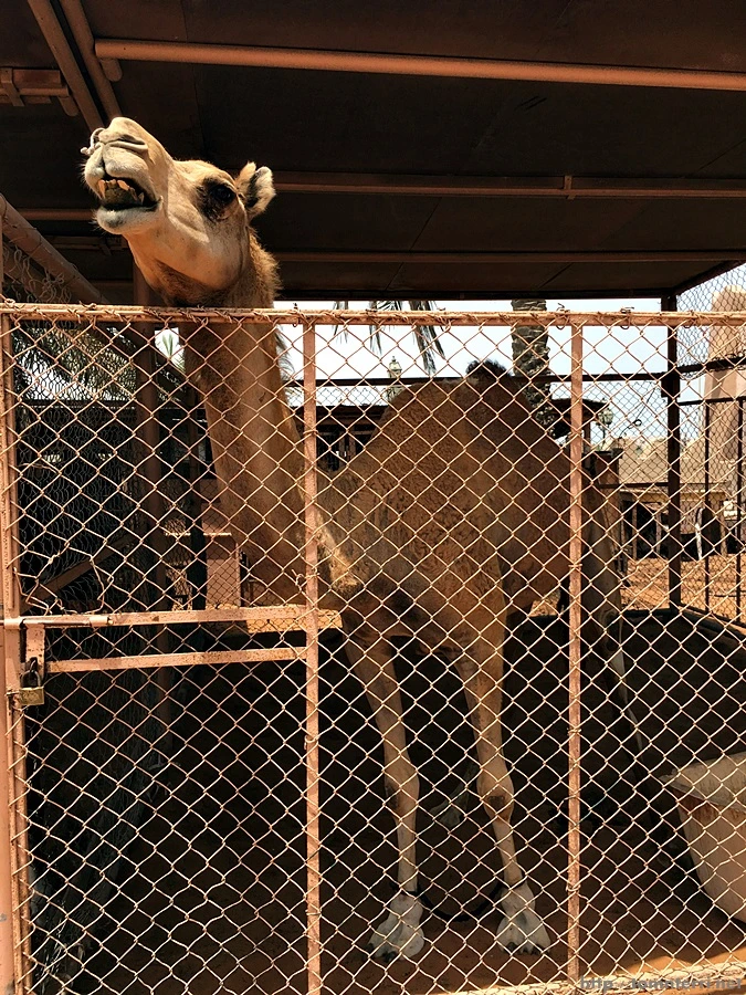 2016-06-25_at_16.23.01.jpg?type=w773