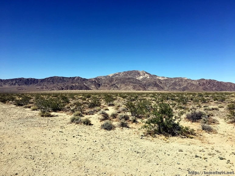 2017-05-05_at_07.24.38.jpg?type=w773