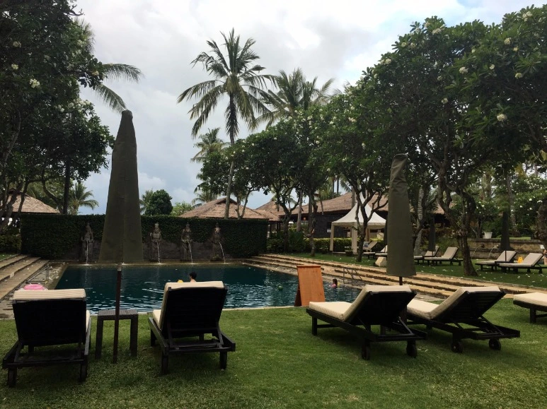 image_278527931477059722240.jpg?type=w773