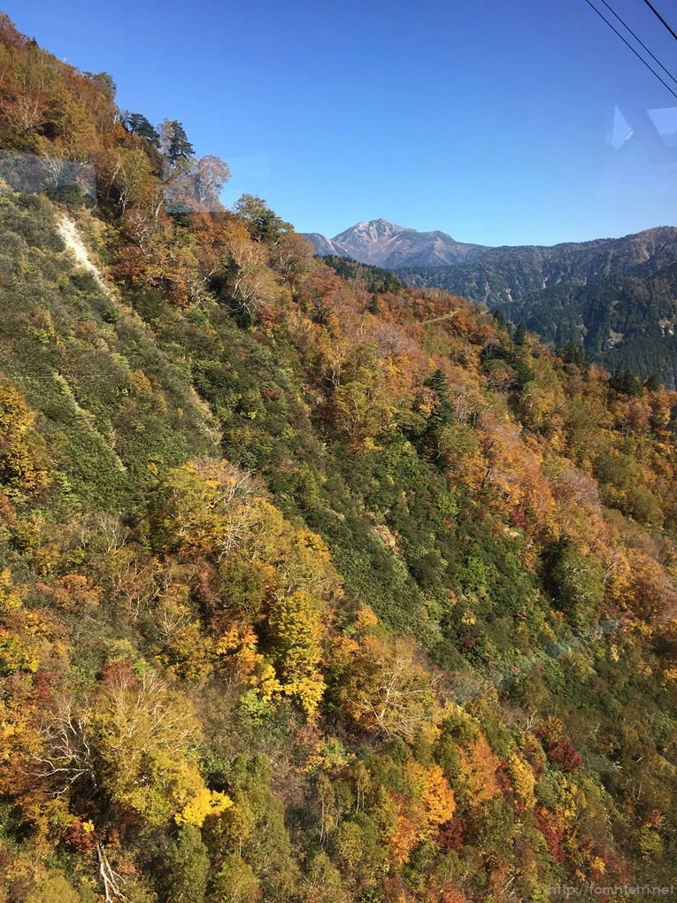 2016-10-15_at_11.19.06.jpg?type=w773