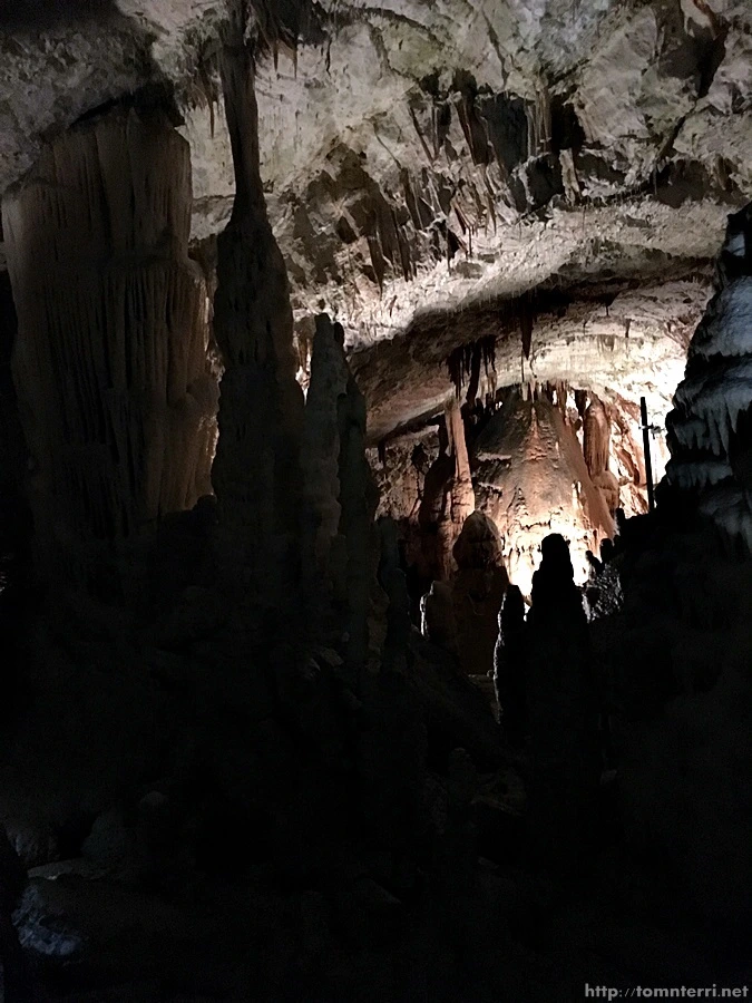 2016-06-24_at_19.36.53.jpg?type=w773