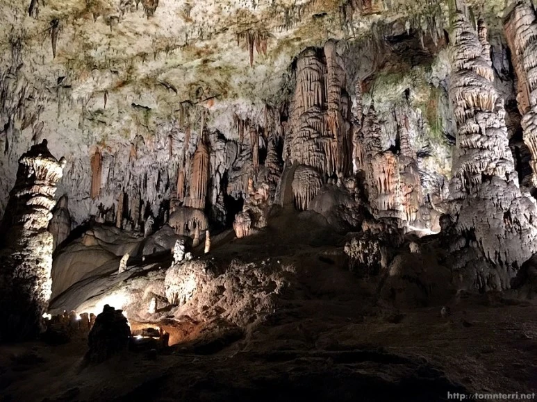 2016-06-24_at_19.09.55.jpg?type=w773