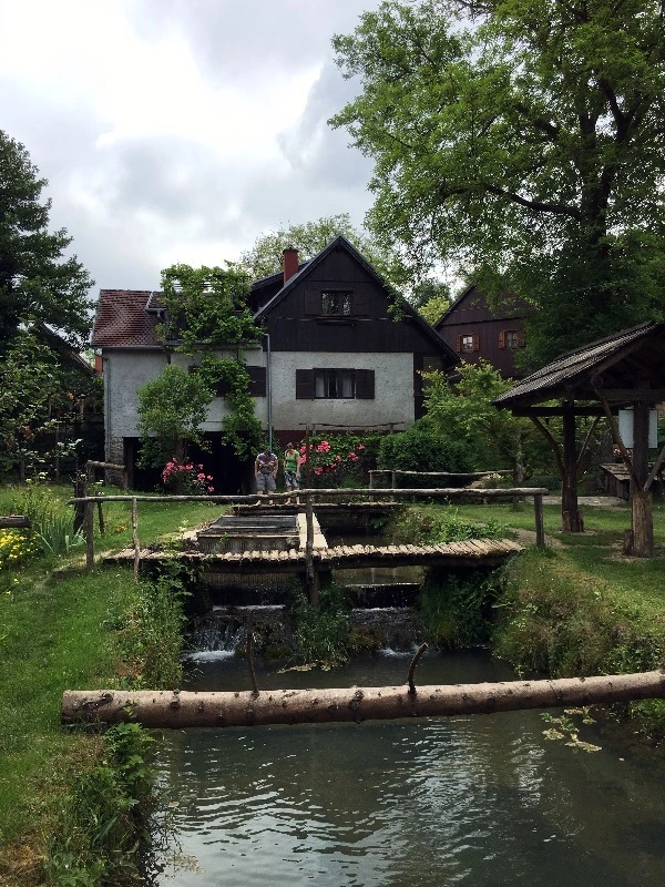 image_9679959151469326596587.jpg?type=w773